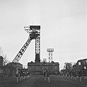 souvenirs en noir et blanc (183)